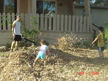 Raking the leaves with daddy