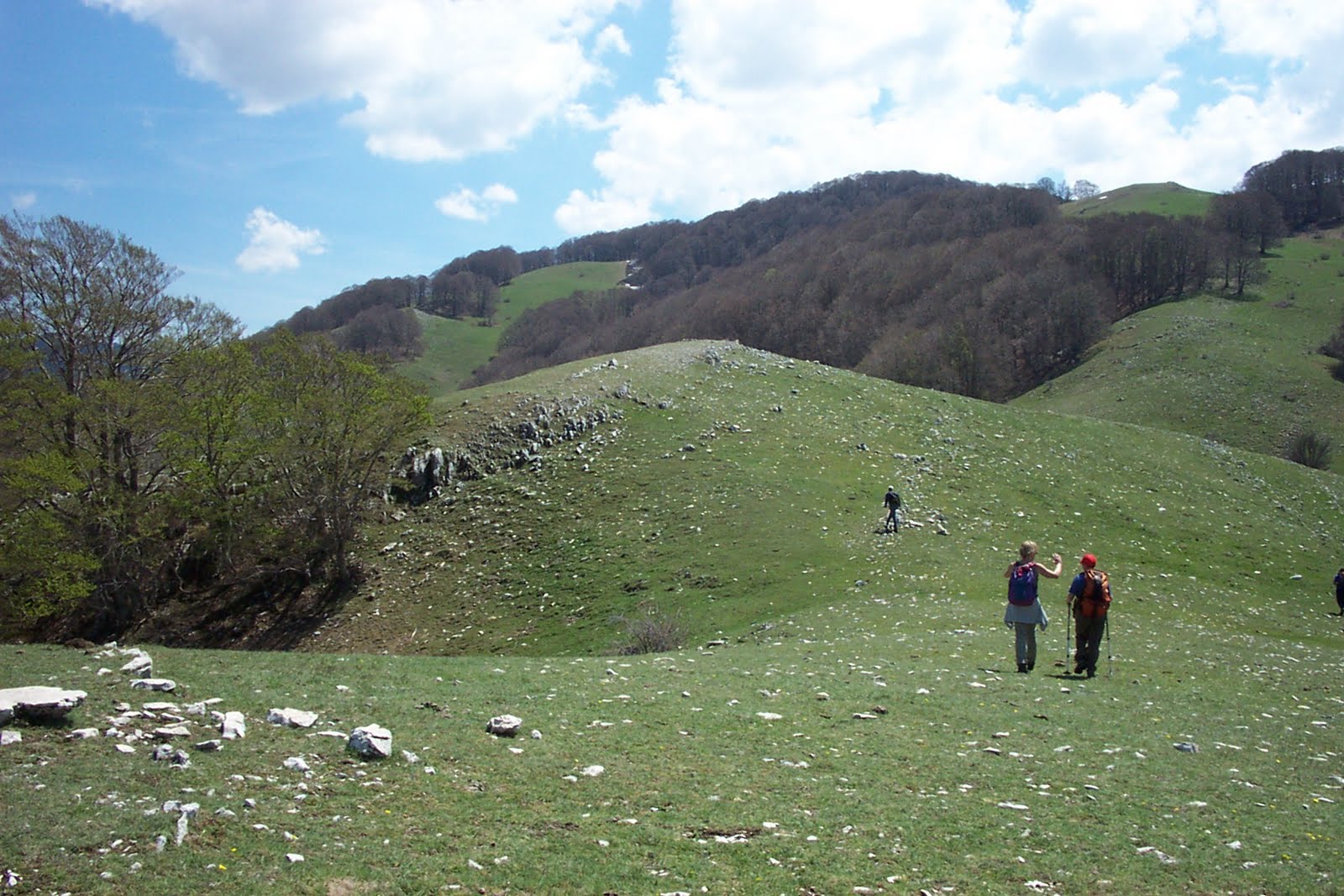 [DCP_0404.JPG]