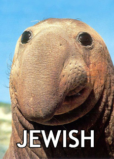 [Image: JewishWalrus.png]