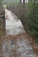 Foot bridge and a graveled path.