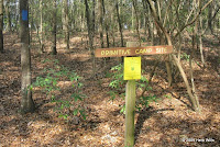 Trail to the primitive camp site on the West Loop.