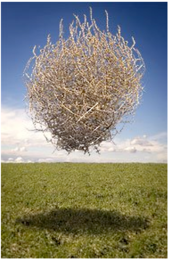 [tumbleweed.png]