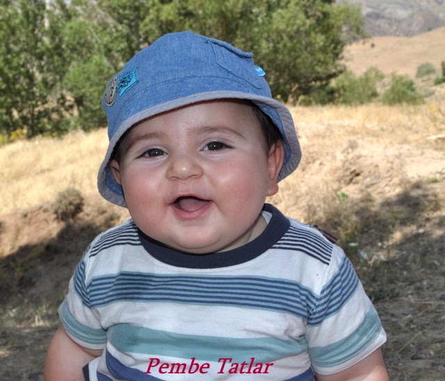 Pembe Tatlar İyiki Doğdun Tombul Kelebeğim)