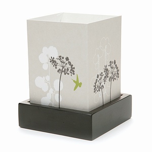 [Febreze-Home-Collection-Flameless-Luminary-Michelle1.jpg]