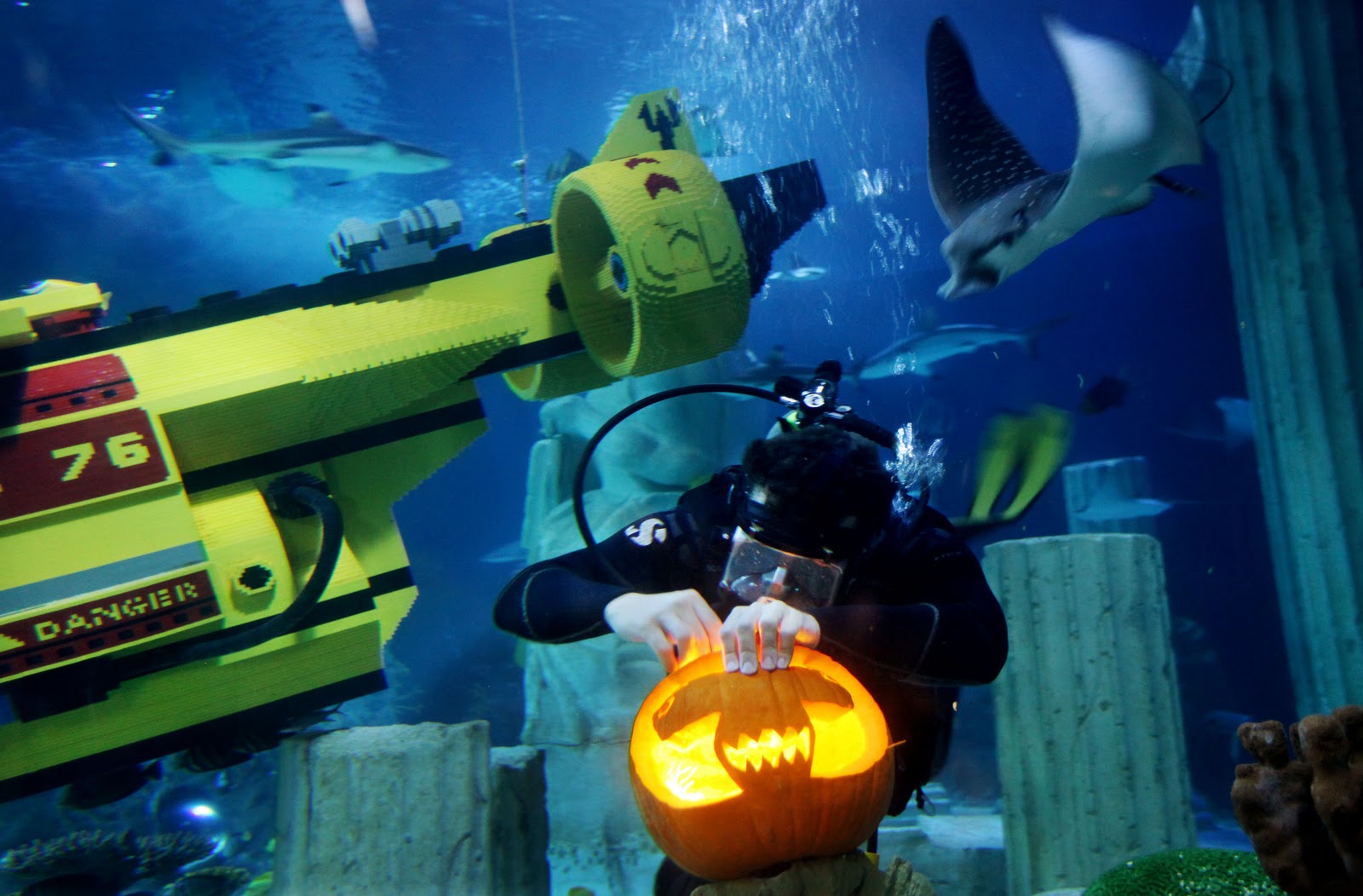 TPA Quick Take SEA LIFE™ Aquarium Dives into Halloween with Underwater
