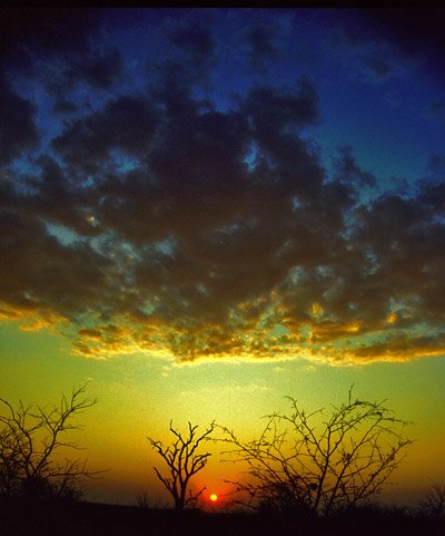 Kenya Sunset