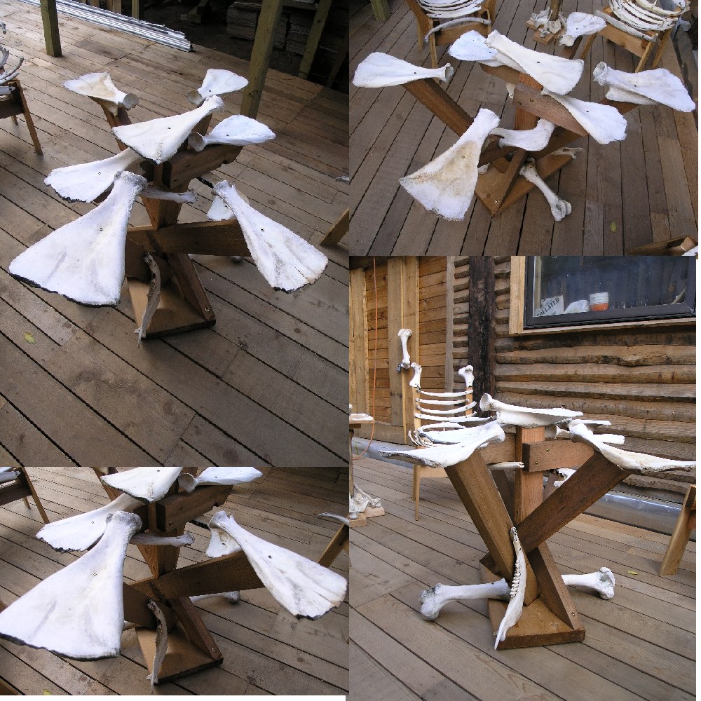 Phoenix Commotion The Bone Furniture, Part I