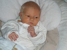 Our prince has arrived