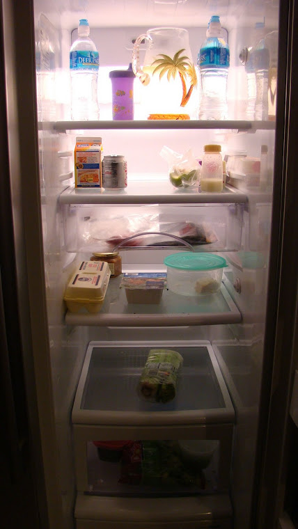 Empty fridge.