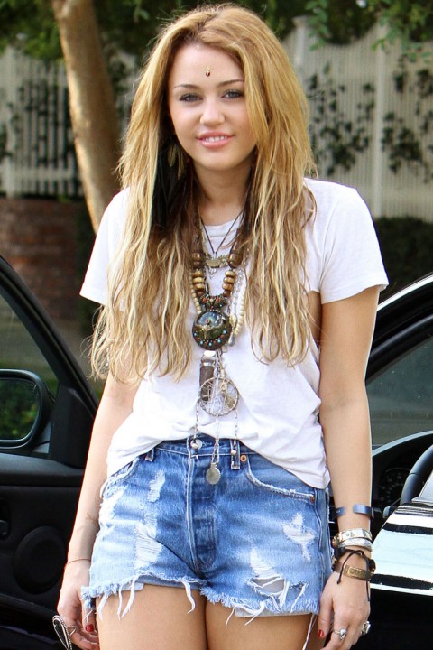 hollywood celebrities divorce hollywood celebrity picture miley cyrus parents file for hollywood celebrities divorce hollywood celebrity picture miley cyrus parents file for