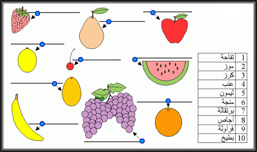 date fruit cartoon. Dates are the fruit contains
