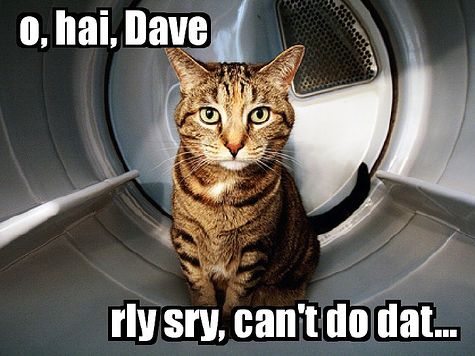 o hai Dave rly sry cant do dat