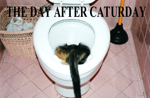 THE DAY AFTER CATURDAY
