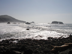 California Dreamin'