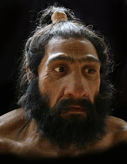 Neanderthal-6.jpg