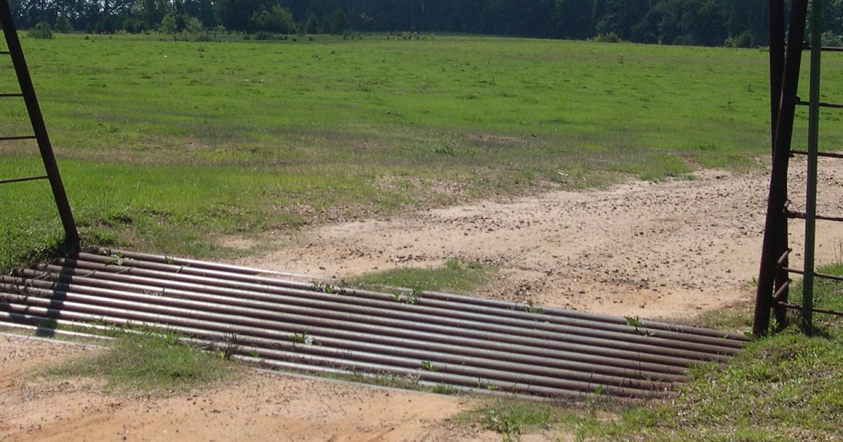 REMEMBER WHEN ? The Cattle Gap