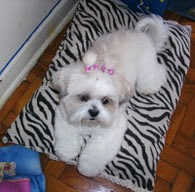 Minha "Sobrinha"