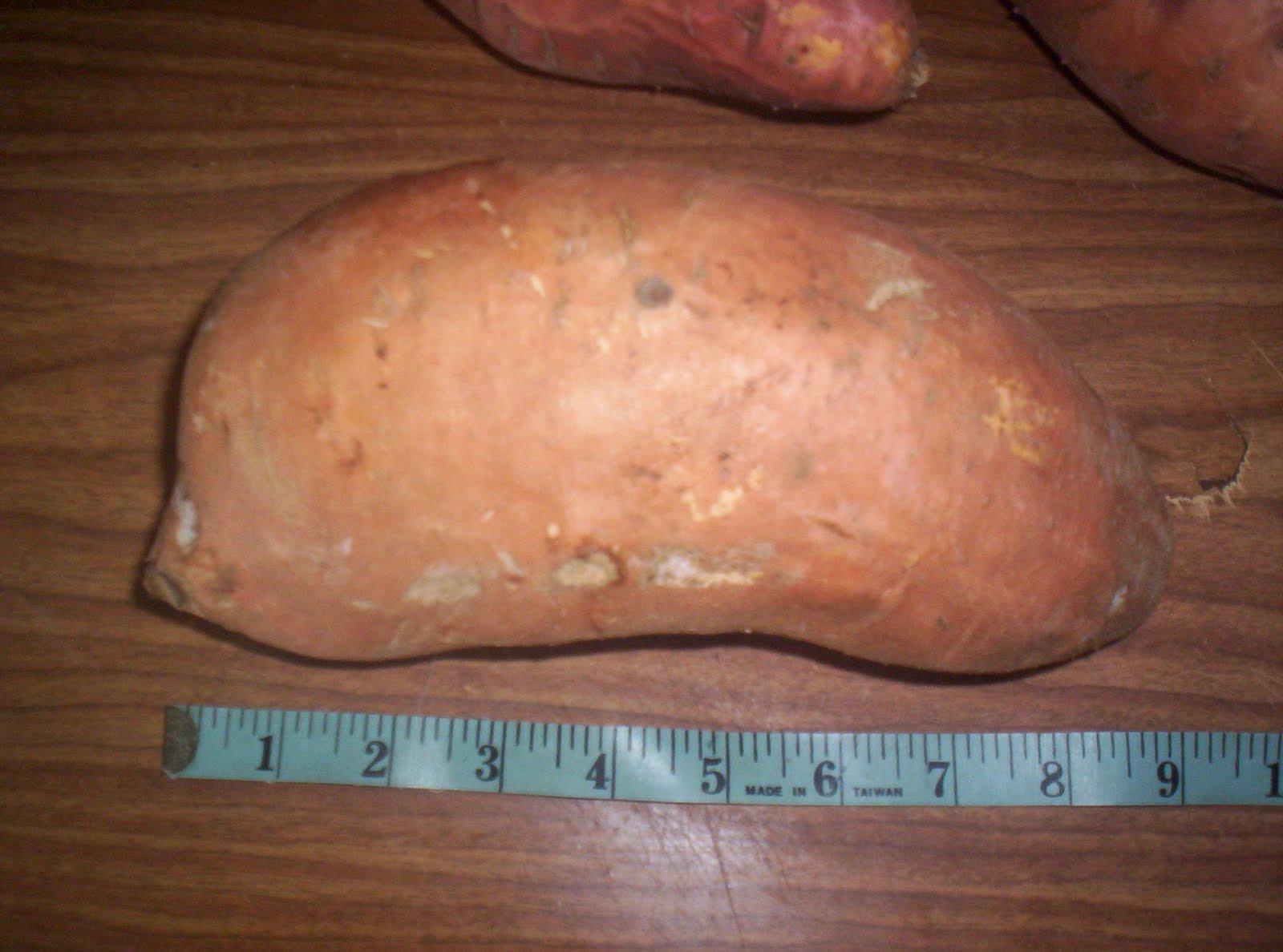 Huge Yam
