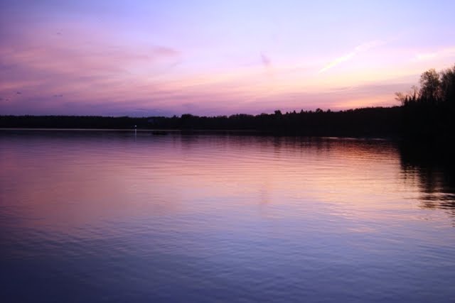 [DSC04049.JPG]