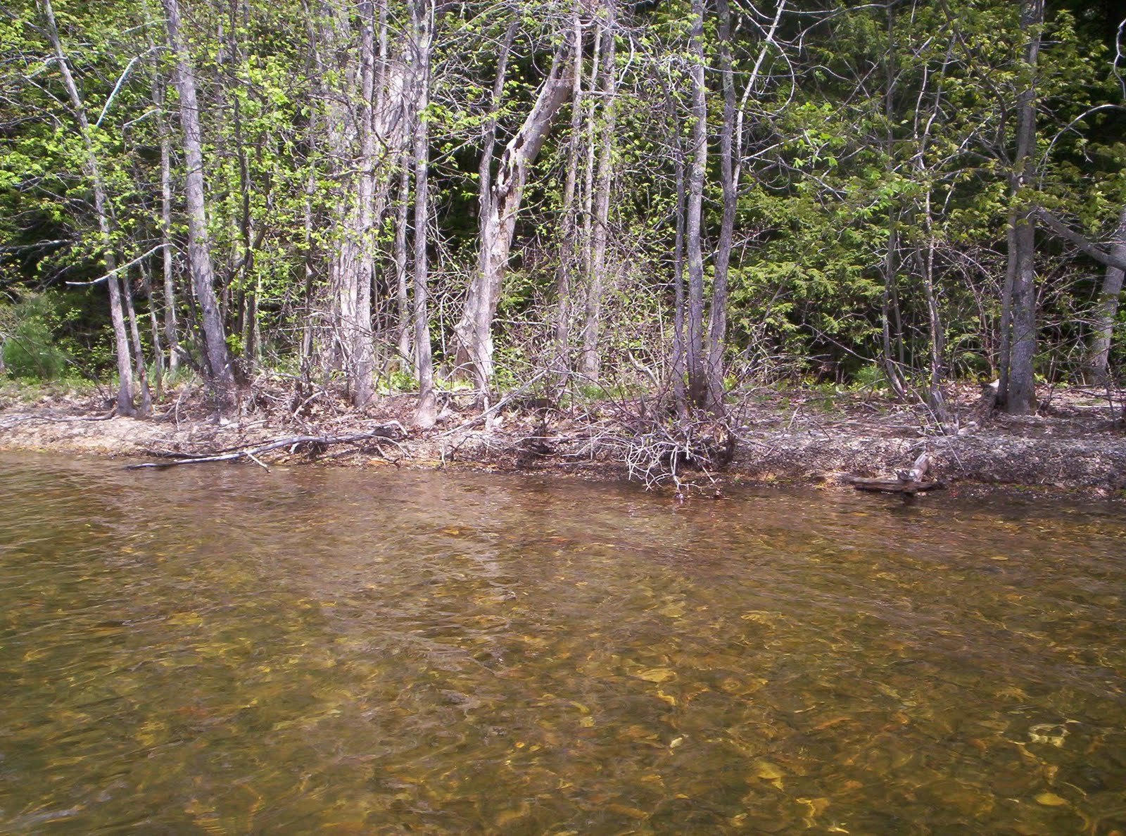 Friends of Sebago Lake China Lake , Maine Department of Environmental