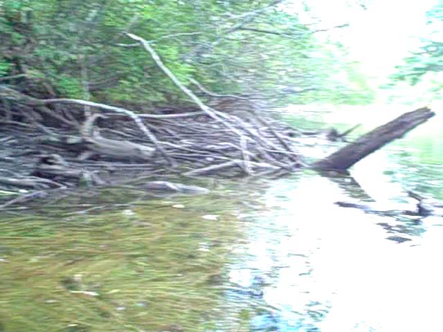 Rivers Erosion