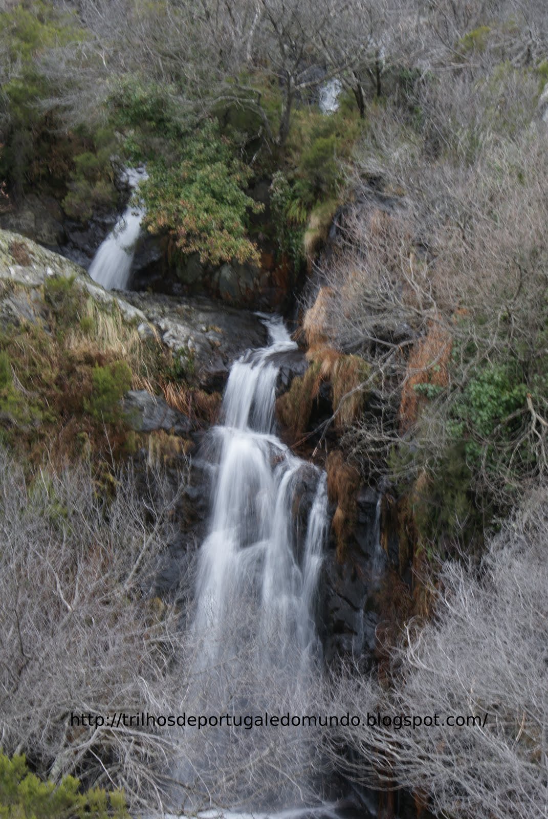 [DSC05765.JPG]