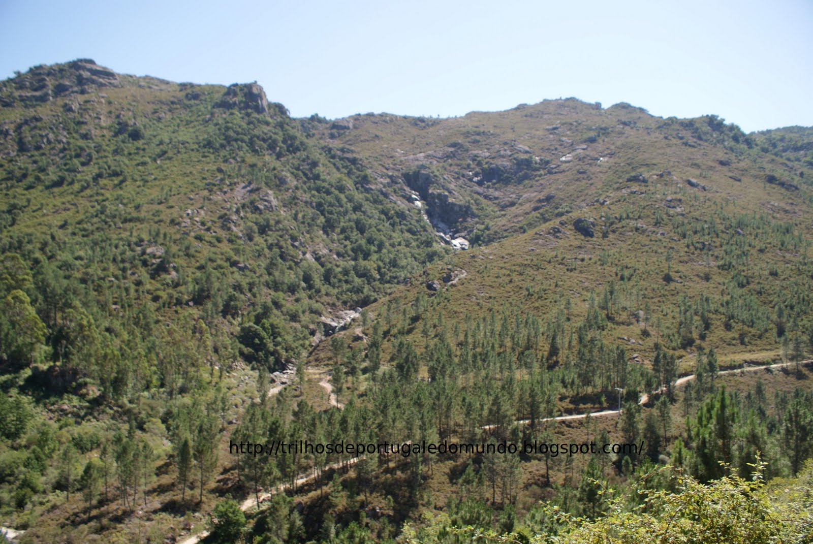 [DSC03852.JPG]