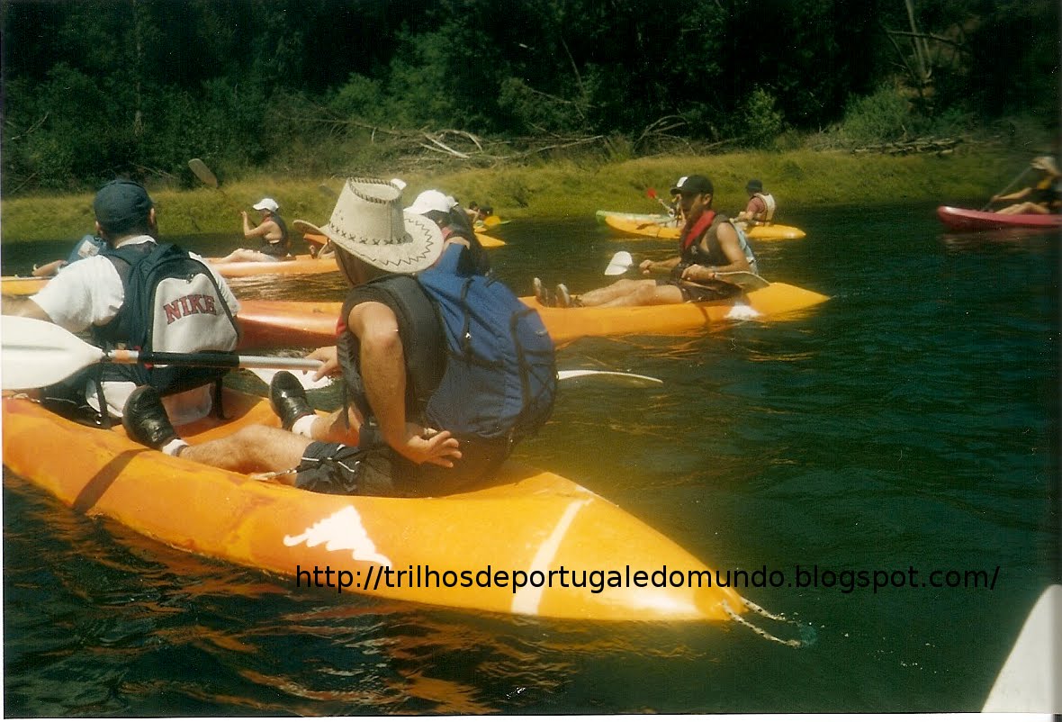 [Digitalizar001001.bmp]