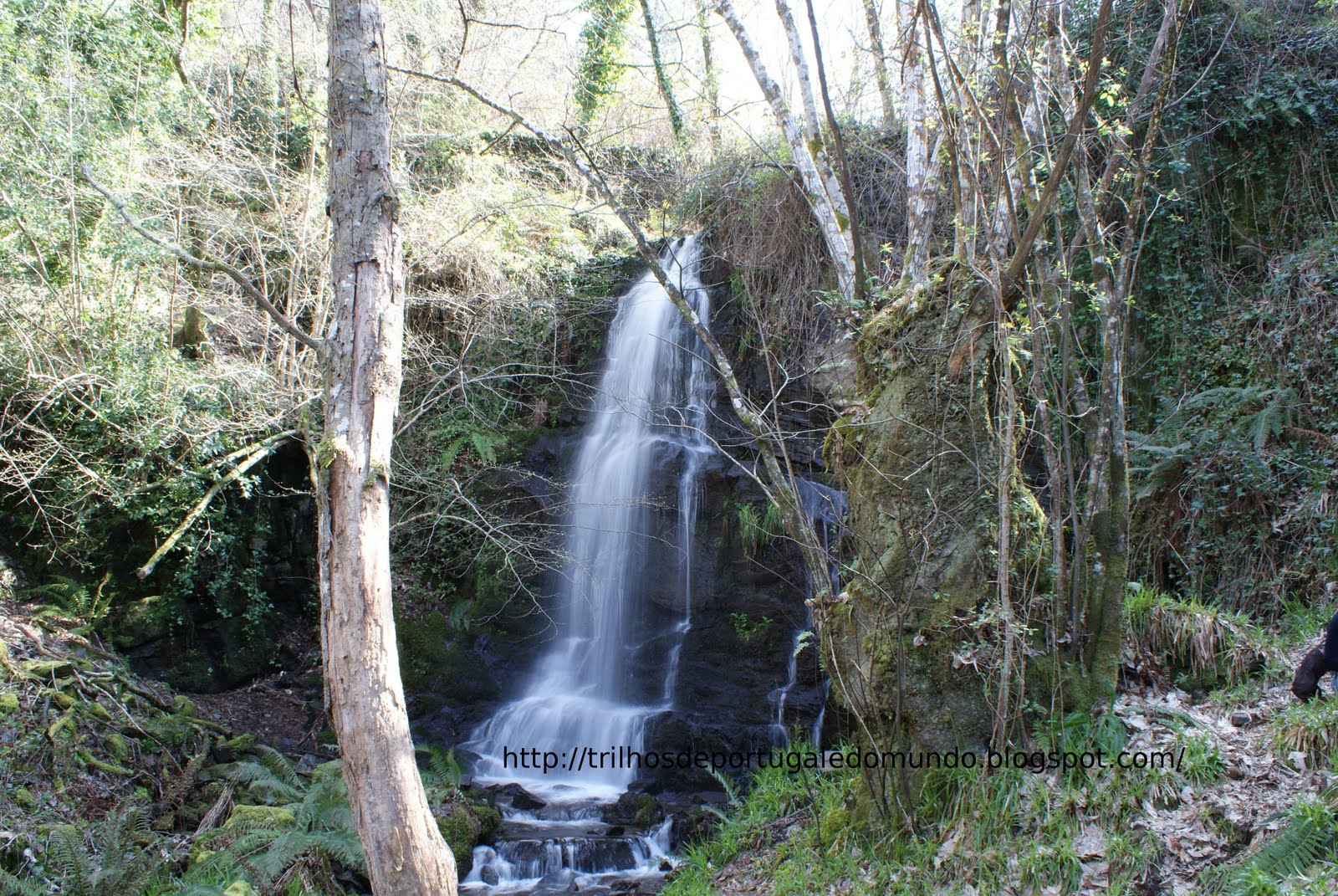 [DSC06114.JPG]