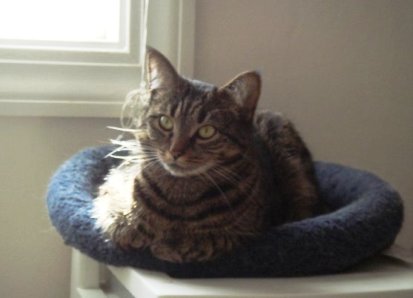 [n697576467_2698085_7814741.jpg]