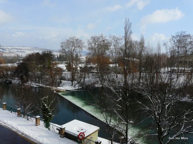 [P1070955-1.JPG]