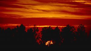 [sunset.jpg]