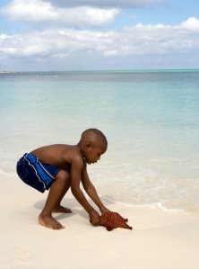 [boy-holding-starfish.jpg]