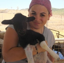 Me with a baby lamb