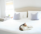 Bedroom Before + After