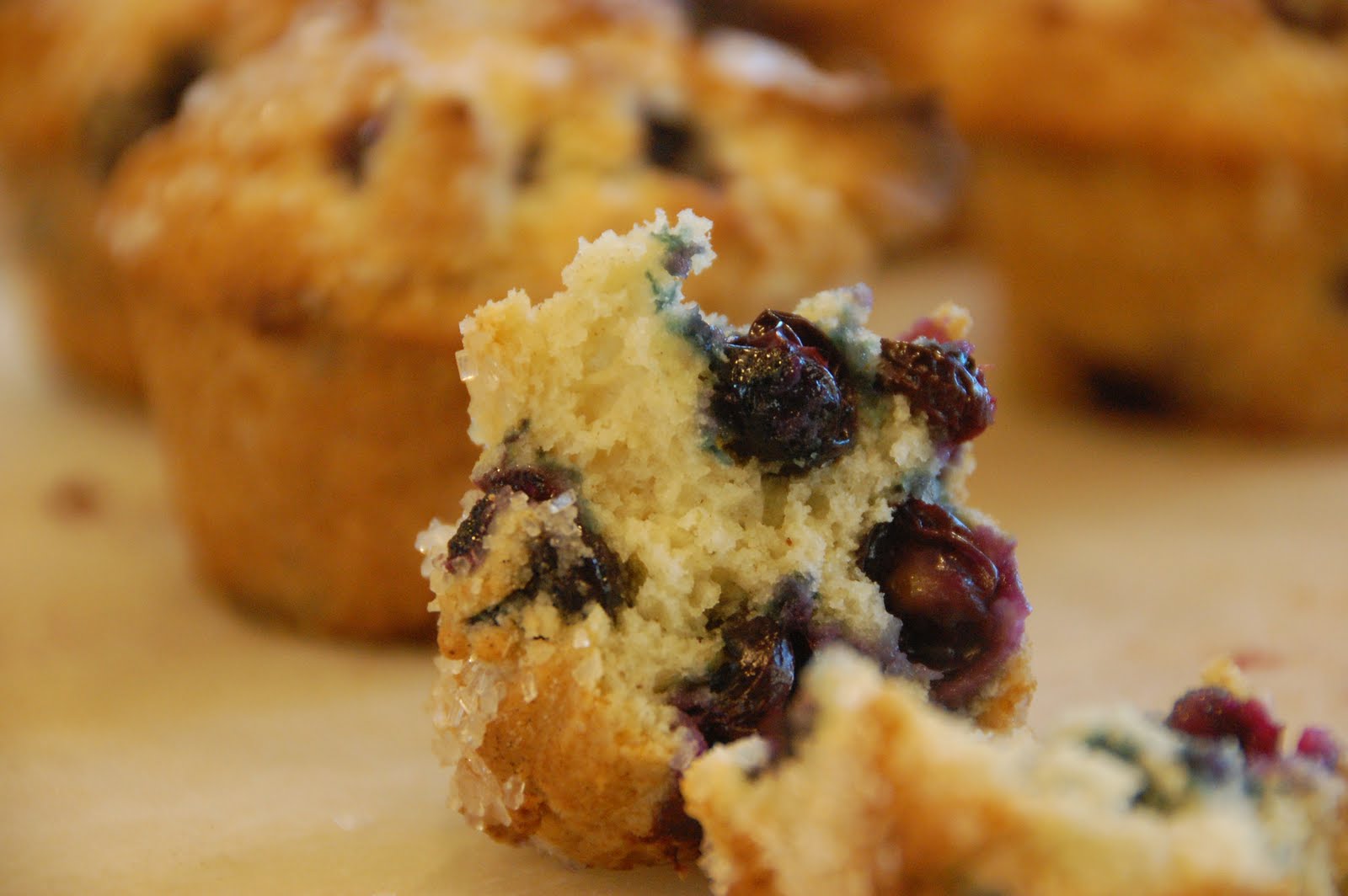 Fresh Blueberry Muffins — The 350 Degree Oven