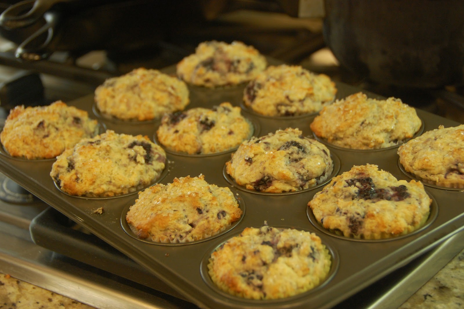 The 350 Degree Oven Adventures in Mika's Kitchen Blackberry Muffins