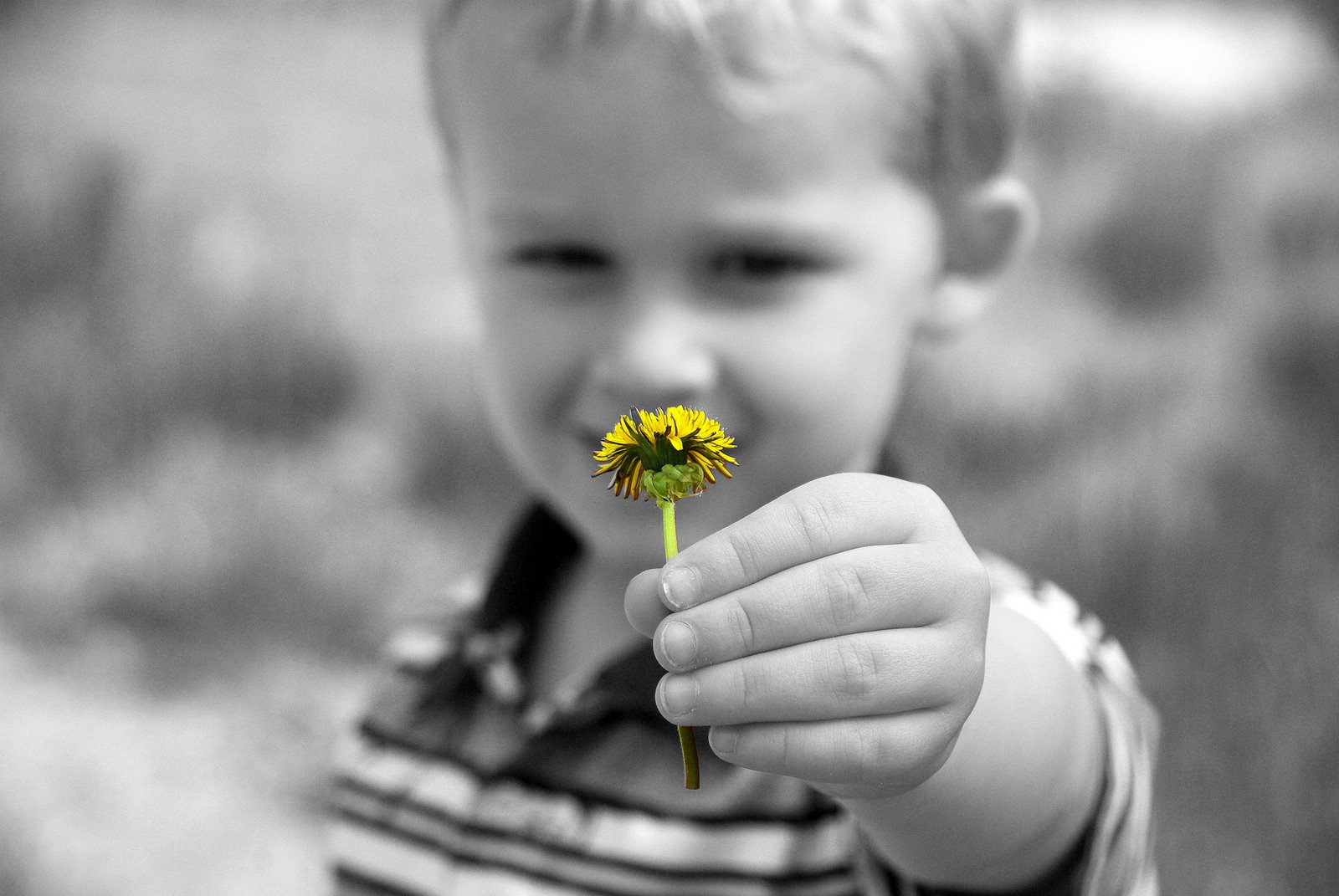 [schroeder_07_yellow.jpg]