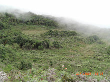 Parque Nacional "El Avila"