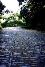 Cerro El Avila