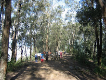 Cerro El Avila