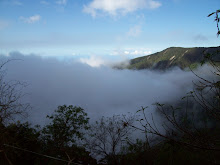 Vista hacia el mar