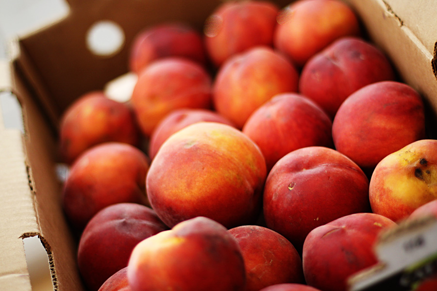 The Larson Lingo Millions of Peaches, Peaches for me