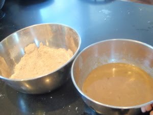 [dry+mixture+wet+mixture.JPG]