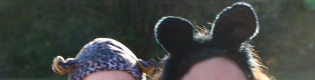 [PA310802.JPG]