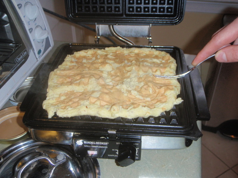 [waffles-killed-by-xanthan-gum.JPG]
