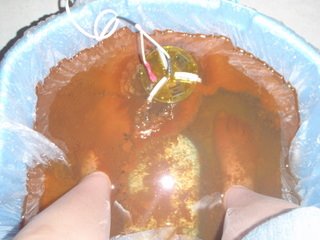 [P5041425.JPG]