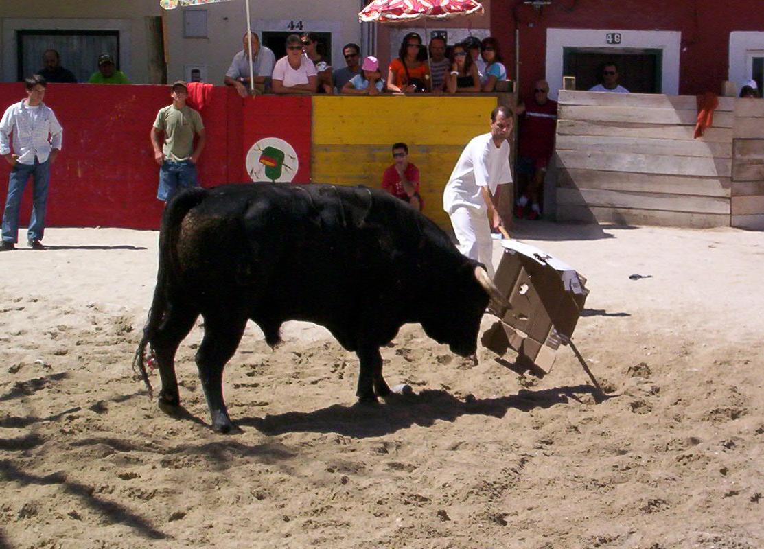 [alcoche2007.JPG]