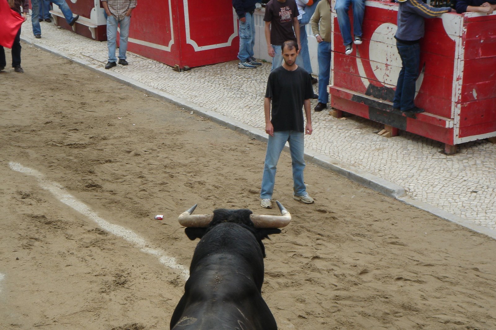 [DSC06106.JPG]