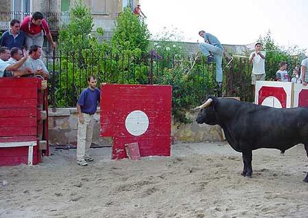 [s.mouco2004.JPG]